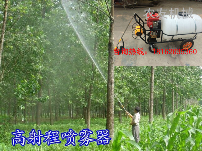农药喷雾机 手推式机动打药机 果园喷雾机