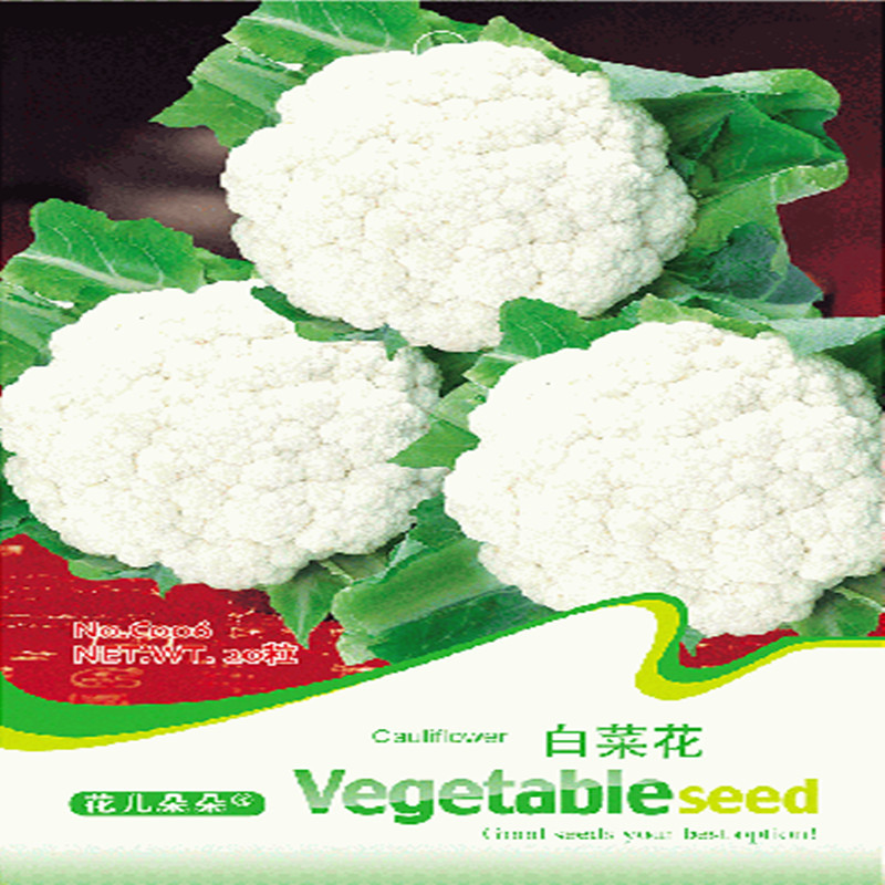 批发彩色蔬菜种子西兰花紫色花椰菜种子依紫千红粒量大批发 阿里巴巴