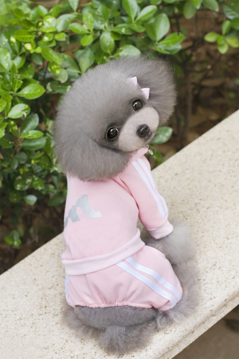 Daily Occasion Simple Style Cotton Stripe Button Pet Clothing 1 Piece