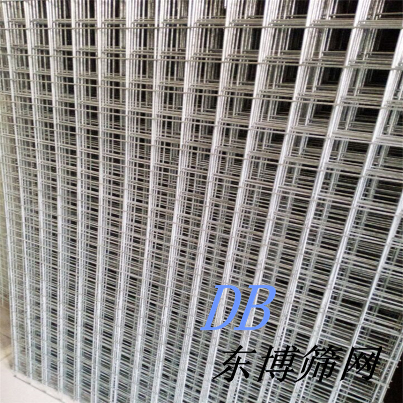 现货供应镀锌焊接网车间隔离网水泥网地暖网片钢筋网方格网