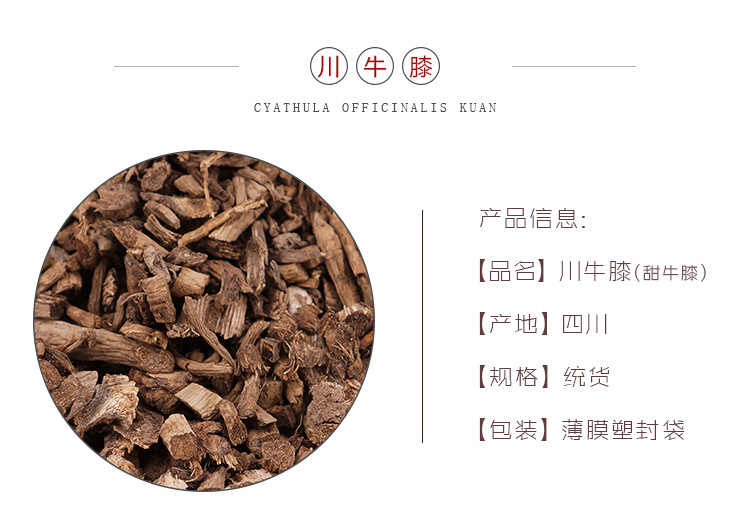 Sichuan Cyathula Root Chuan Niu Xi 500g Dried Raw Herb for Decoction and Soup overview