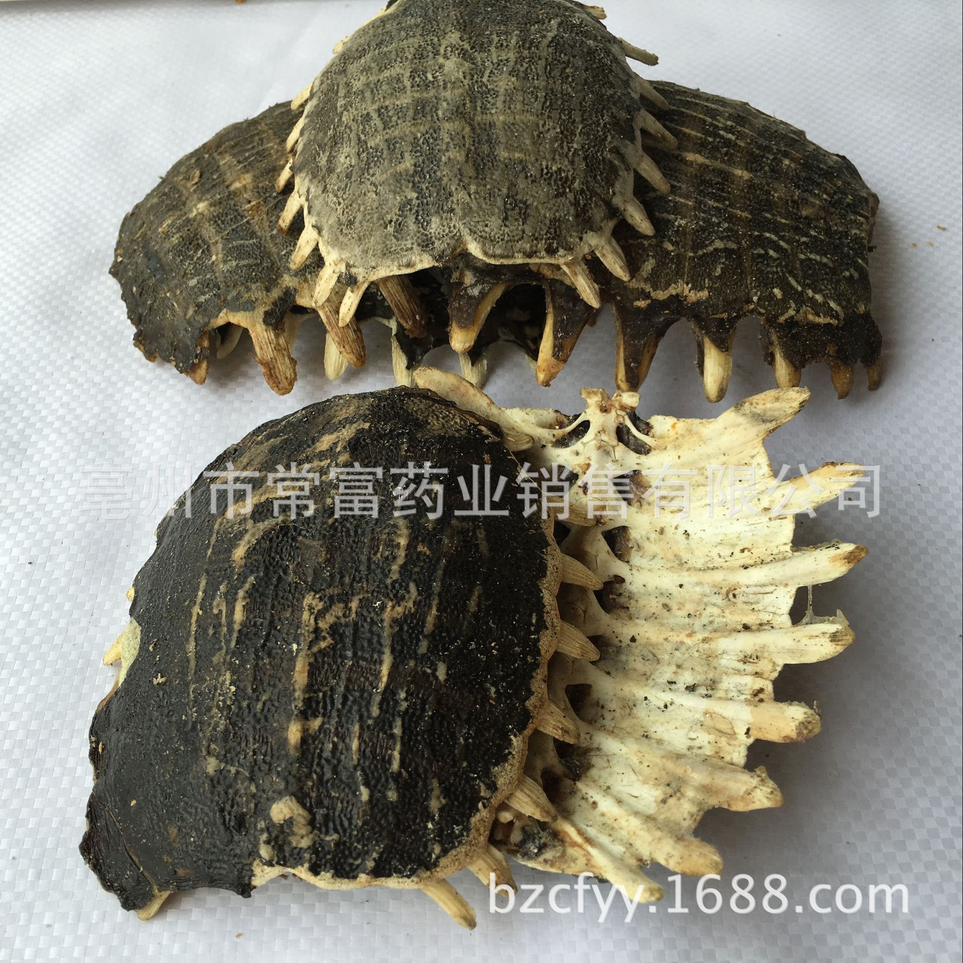 Dried Turtle Shell Bie Jia 500g Traditional Chinese Herb for Culinary Decoction Use quality and texture
