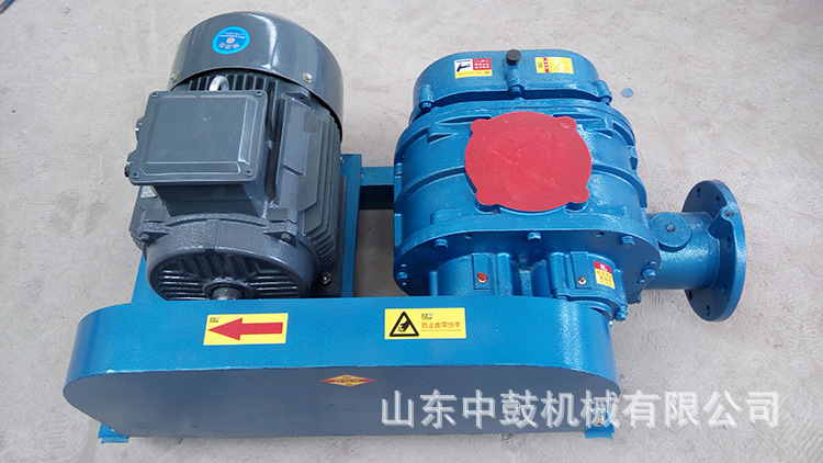 125型11KW羅茨風(fēng)機(jī)11