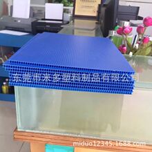 ����PP�пհ�̓r�����Ĵ��_�� ��������pp���