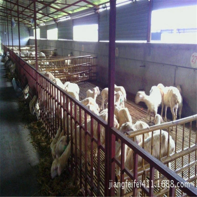 山东滨州市羊床羊漏粪板生产基地批发畜牧养殖床定做各种尺寸规格