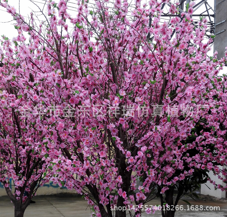 XRS-142 3米新四叉树头桃花1