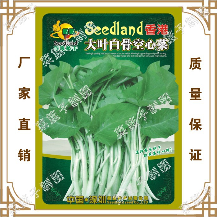 香港大叶白梗空心菜阳台庭院大棚盆栽田地蔬菜 阿里巴巴