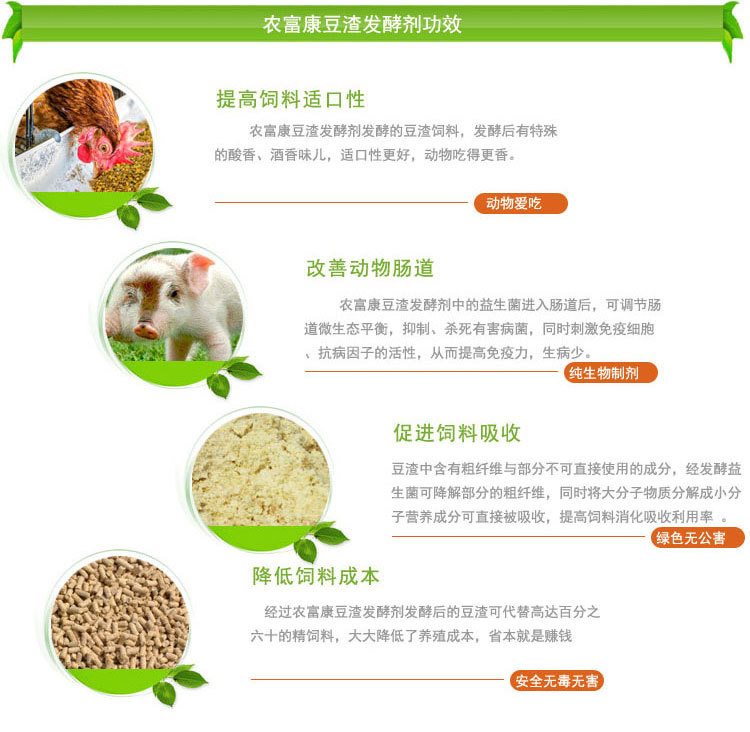 豆渣饲料发酵剂