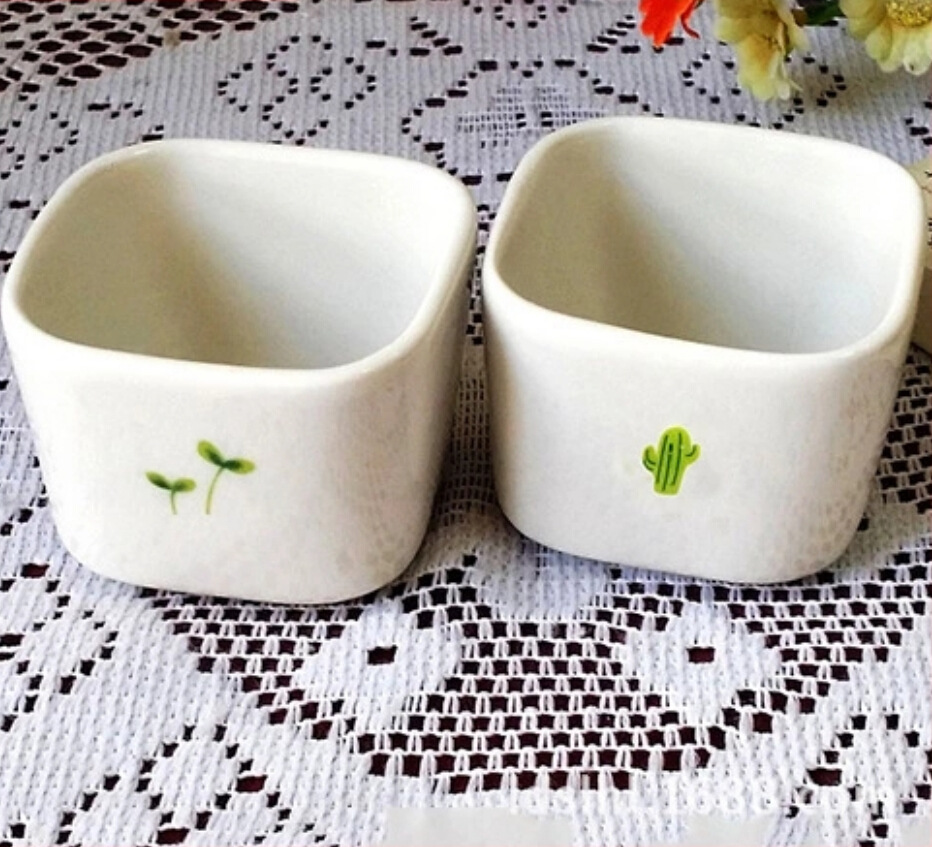 shoot fillet Mini Small pots Mixed pack Cactus pattern Japanese flower zakka Creative Flowerpot