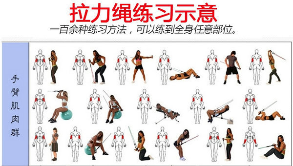 2334663258_1793293391