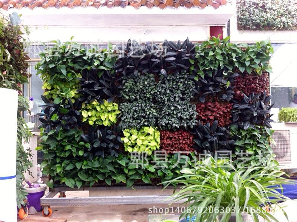 2934349b033b5bb5e850277735d3d5