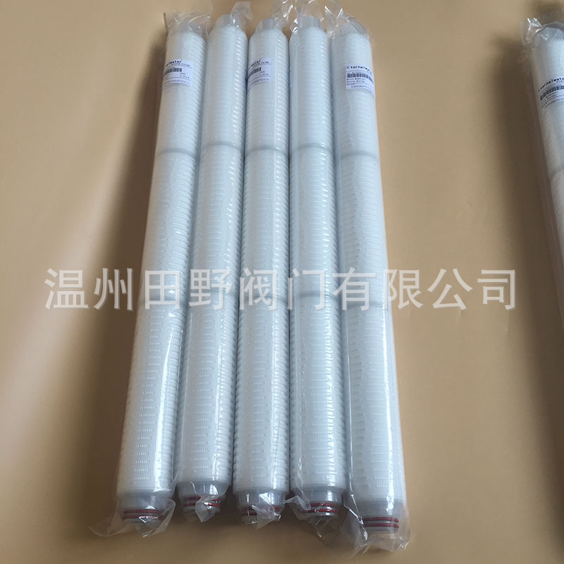 �۵�ʽ΢��Ĥ����о��ˮ�� ����PTFE����0.22um,0.45um,1um