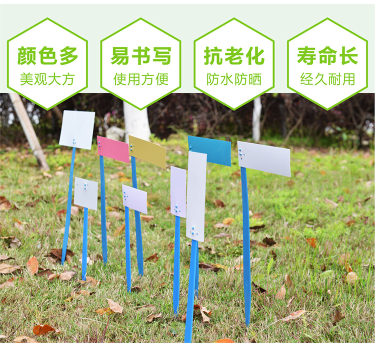 组合插地牌22_02