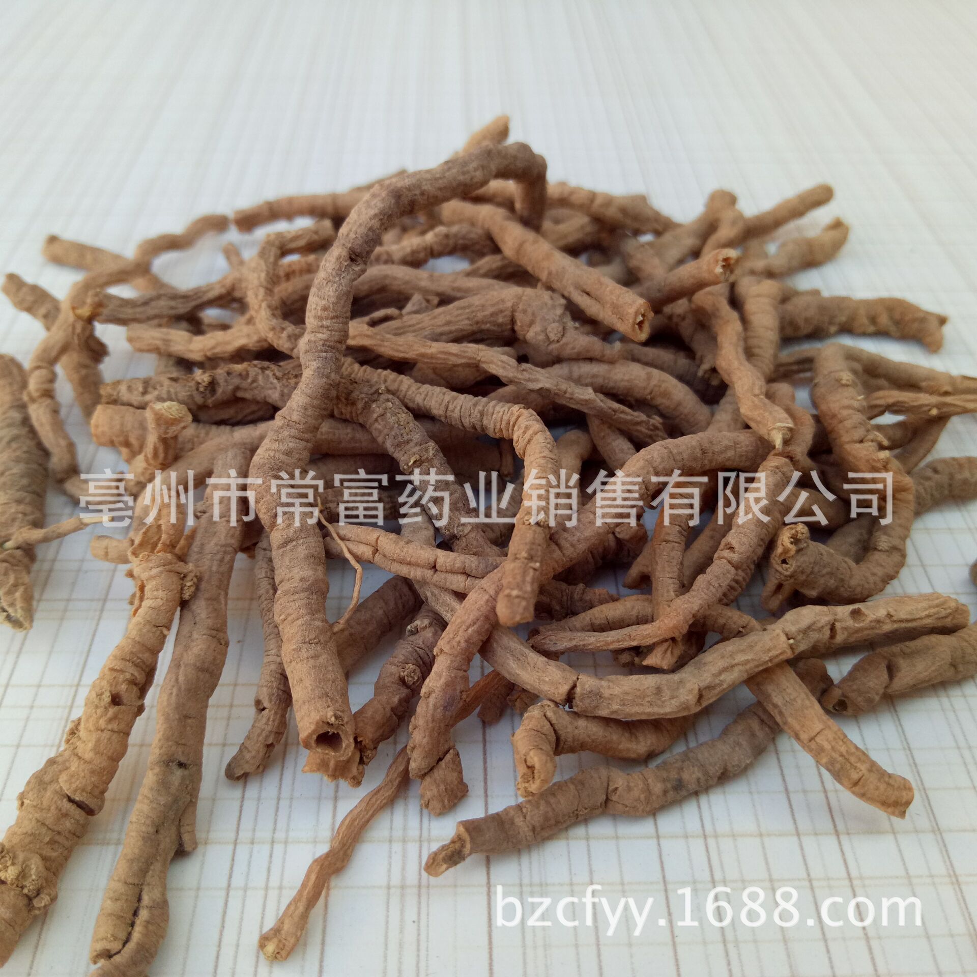 Polygala Root Yuan Zhi 远志 Dried TCM Herb 500g Shanxi Origin for Decoction and Culinary Use specifications