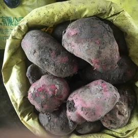 兔子主粮;黄芪;龙猫零食