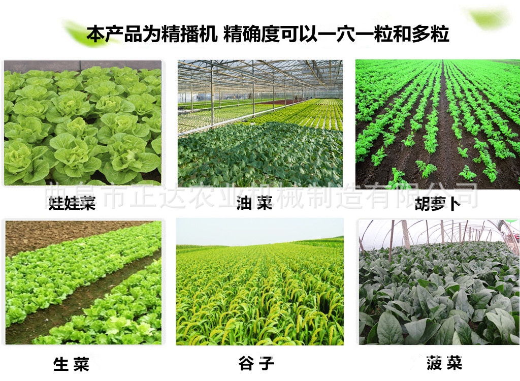 娃娃菜精量播种机 江门效果不错