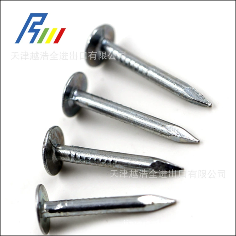 Круговой циркул Consolidation Ноготь Электрический galvanized цитату galvanizing?