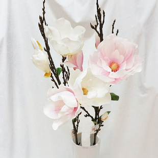 ���S���l����ֲ���L�U��֦���^���m�����滨ľ�޻��Ӽ��b�