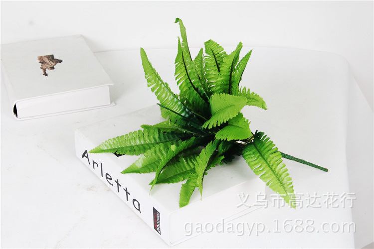 2523365477_1307269327