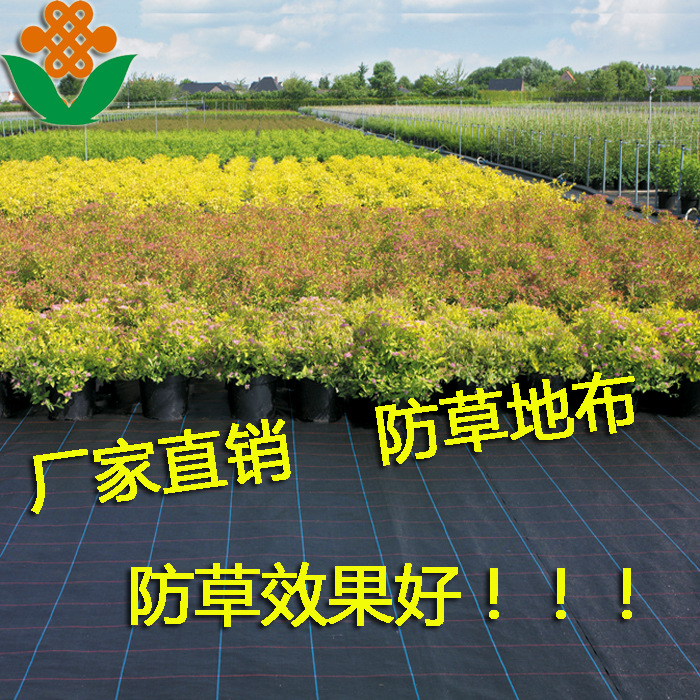 定做PE聚乙烯材料黑色农用保湿除草布 抗老化园艺地布除草布批发|ru