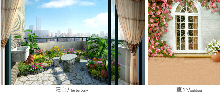 QQ图片20160608075331