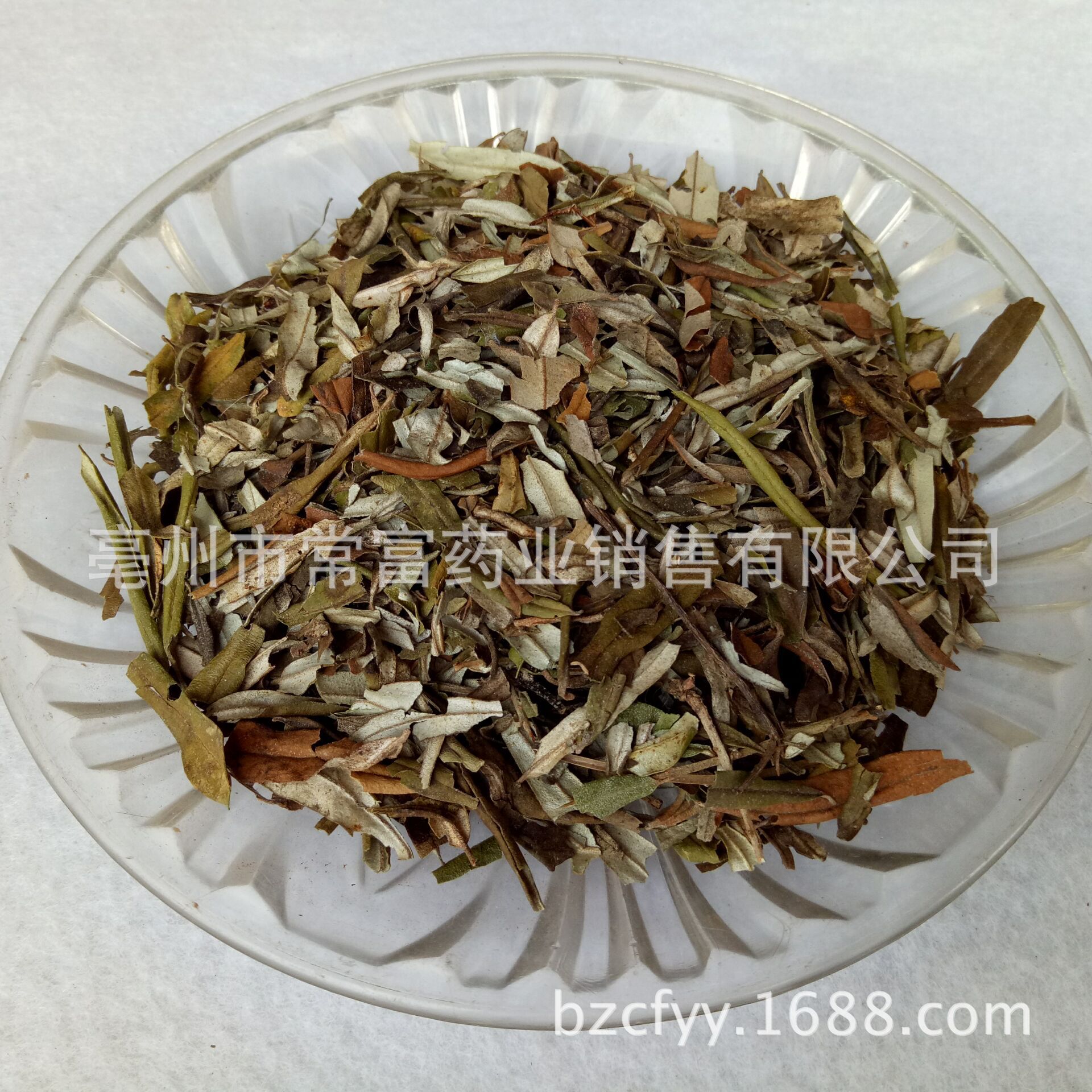 Sea Buckthorn Leaf Sha Ji Ye Hippophae rhamnoides Dried Herbal Tea Leaves 500g overview