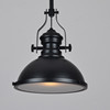 Country ceiling lamp, LED retro coffee bar light source, American style