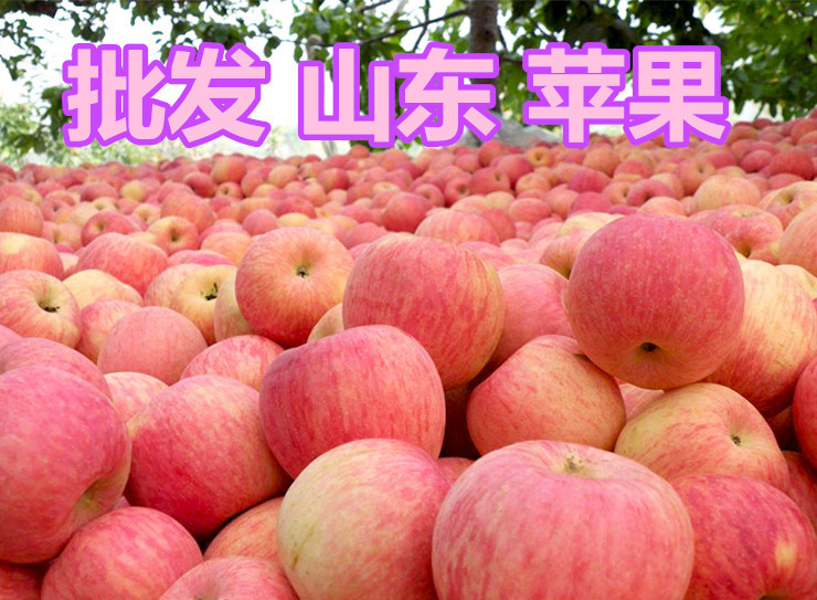 點(diǎn)擊打開原圖 undefined