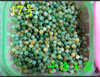 Emerald round beads jade