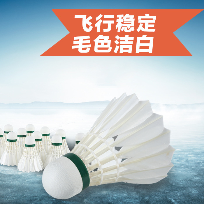 安徽羽毛球生产厂家直销批发中粗场馆练习球稳定耐打贴牌免费拿样