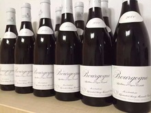 2000年勒桦酒庄红葡萄酒 Leroy Bourgogne红酒