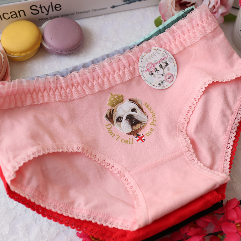 Slip jeune A035 en coton - Ref 647956 Image 15