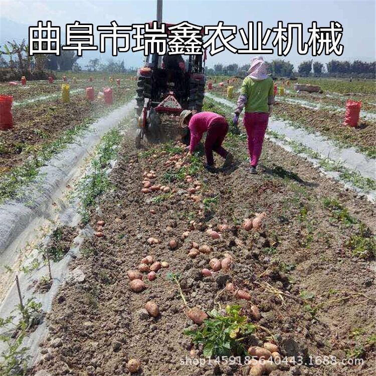 手扶车带动的收获机 收获机厂家 新款二合一型马铃薯收获机