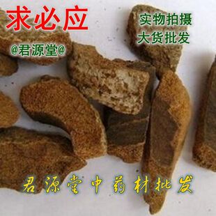 ��ș�� �ȱؑ� ��ؑ� ���y��Ƥ/��ľ��/�F����