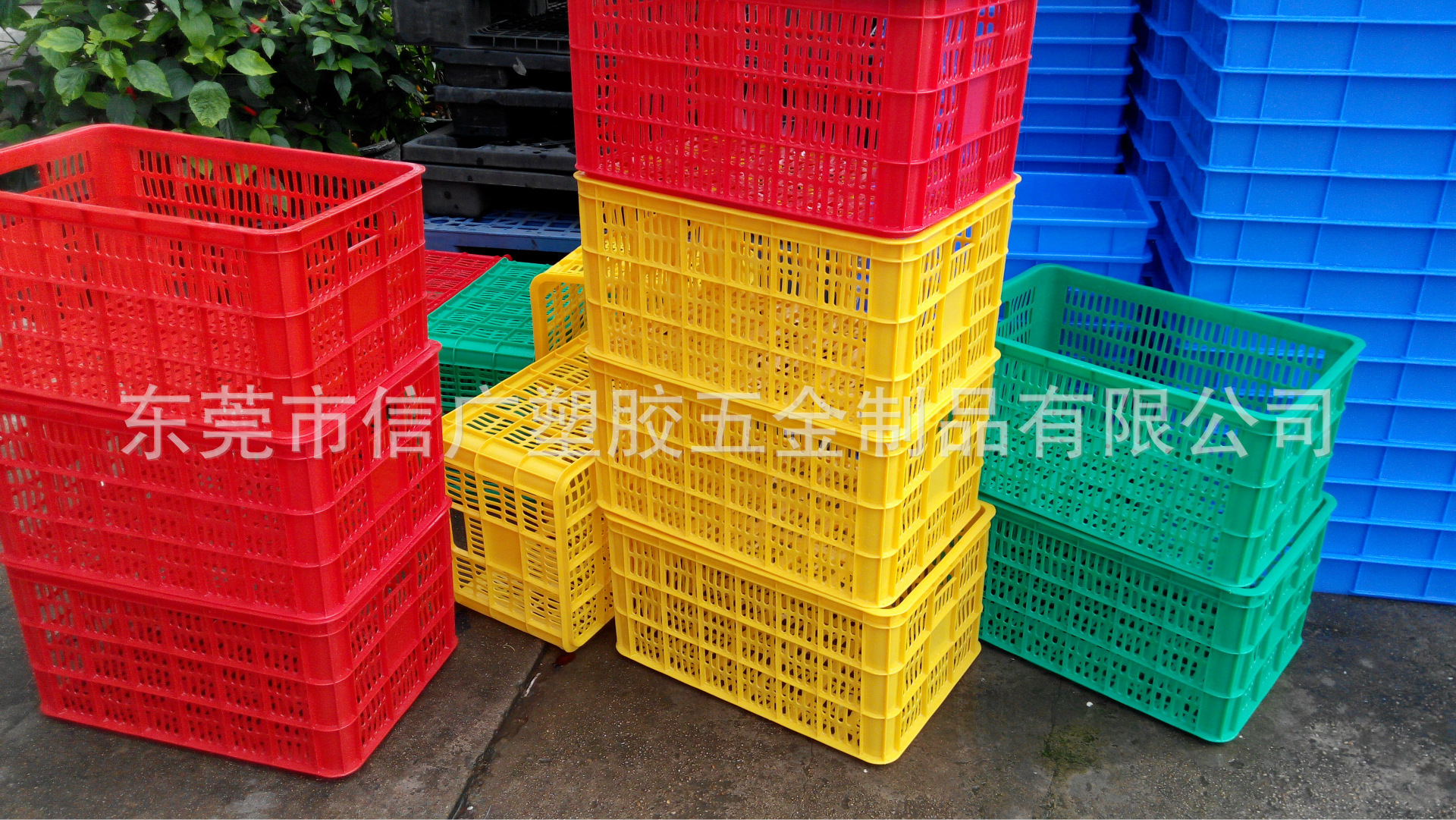 新疆水果干果土特产采摘专用塑胶筐 水果运输筐箩 量大从优