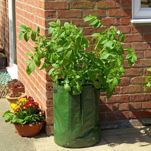 厂家专业生产种植器 PE土豆种植袋，蔬菜种植袋，培育袋