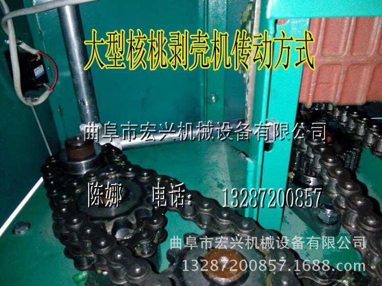 核桃去皮清洗设备 毛辊清洗机 专业去皮清洗机械