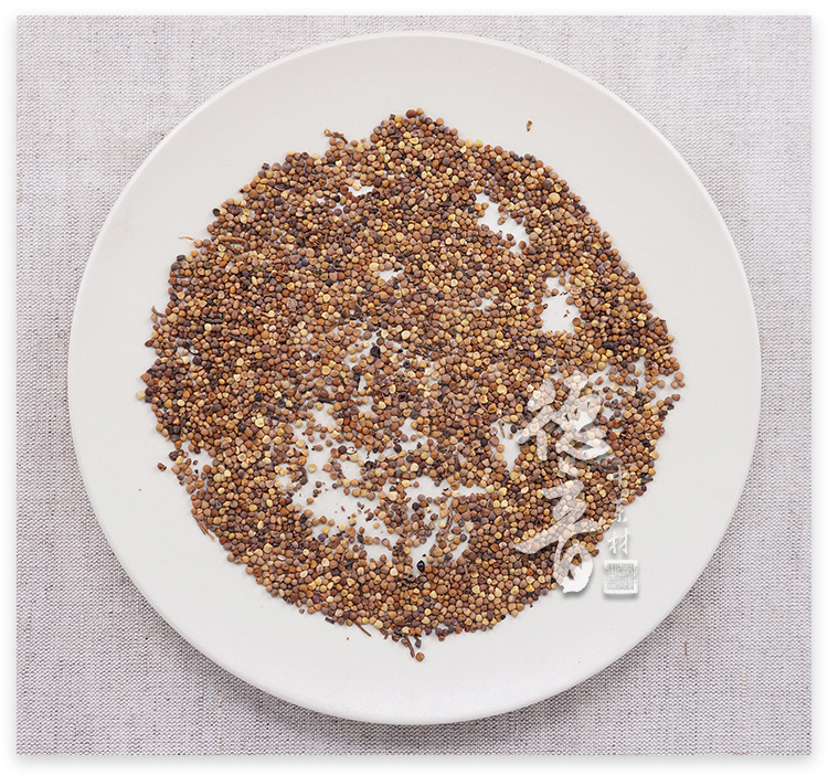 Large Dodder Seed Tu Si Zi 500g Dried Sichuan Herb for Decoction and Tea quality and texture
