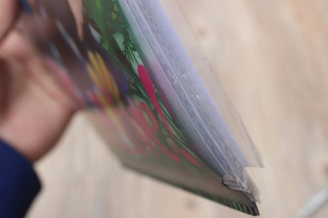 动漫文件夹细节图 (1)