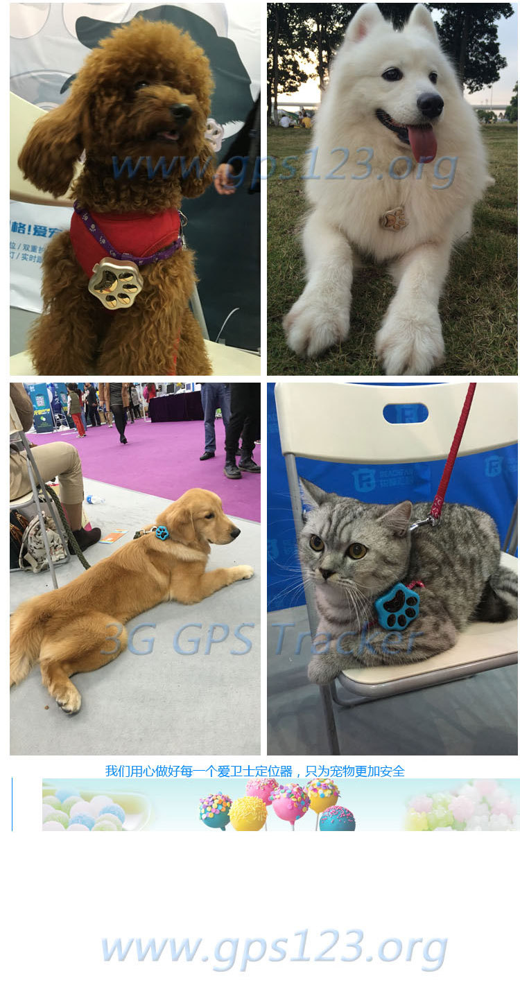 宠物定位器-V40-中文_24