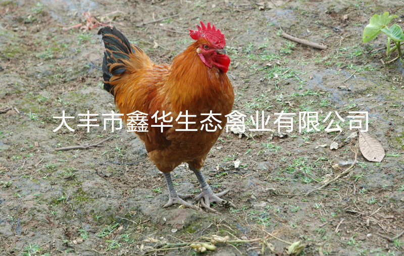 改1 7