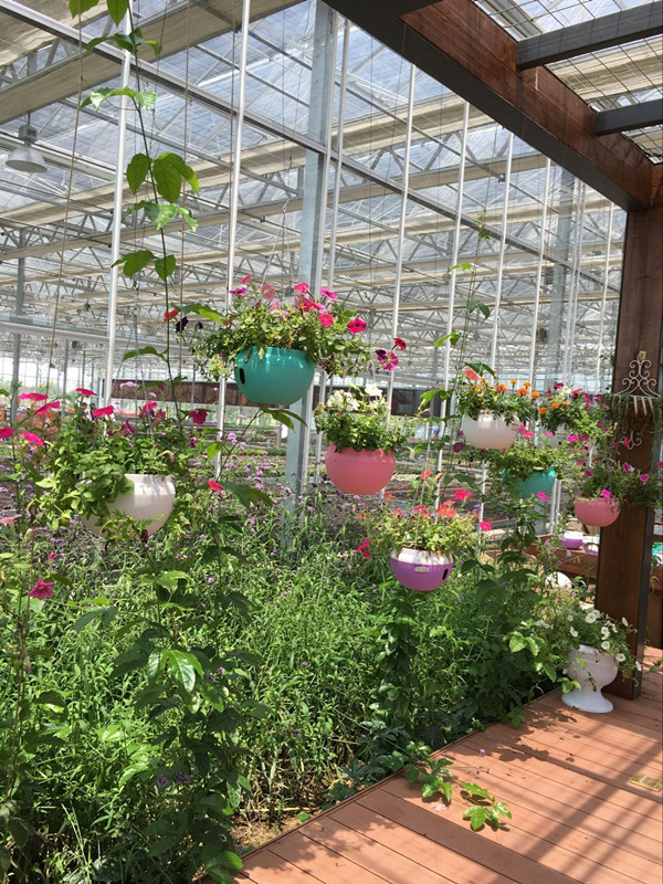 铸铝防爆插座箱 bxx52防爆动力检修箱 bxc电源检修箱 厂家