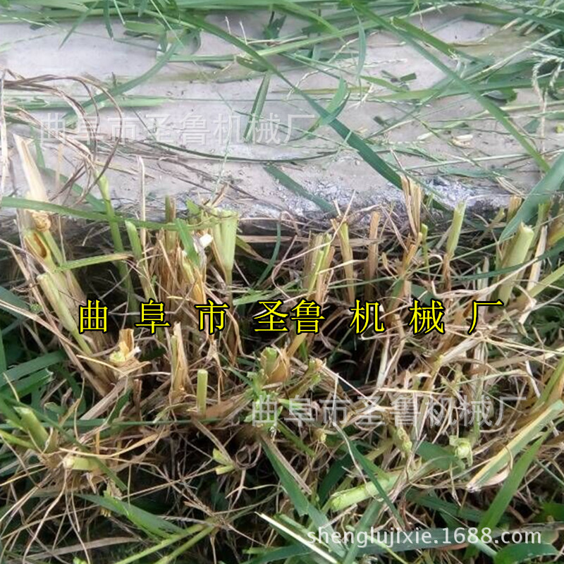 剪草機(jī)自走4