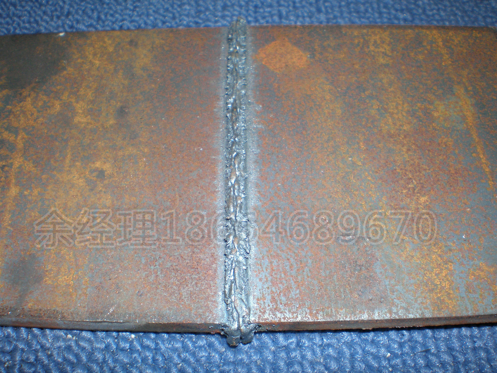 P6130037_meitu_16（加水印）