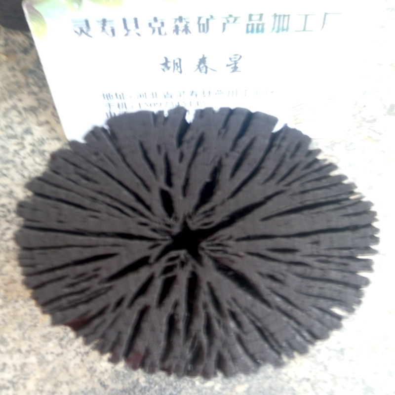 炭菊花0