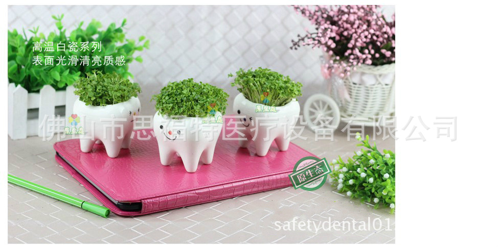 SOR-106 超萌小牙齒