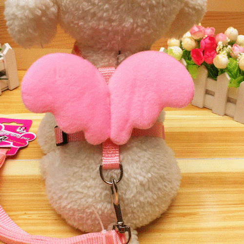 Pet supplies wholesale new winged little angel traction harness dog cat puppy traction rope