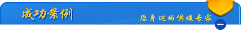 标题-成功案例
