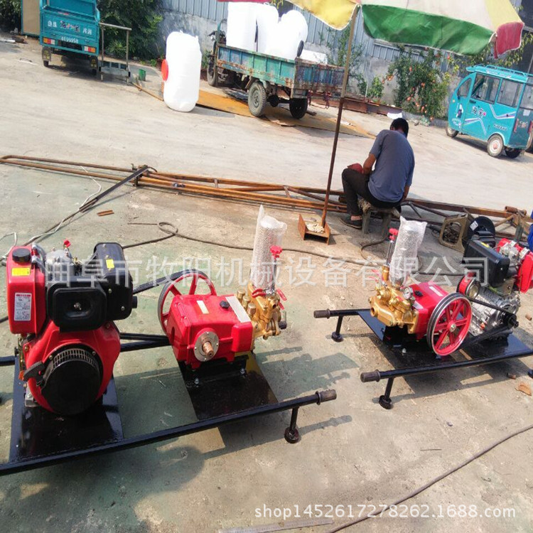 厂家直供背负式高压机动喷雾打药机