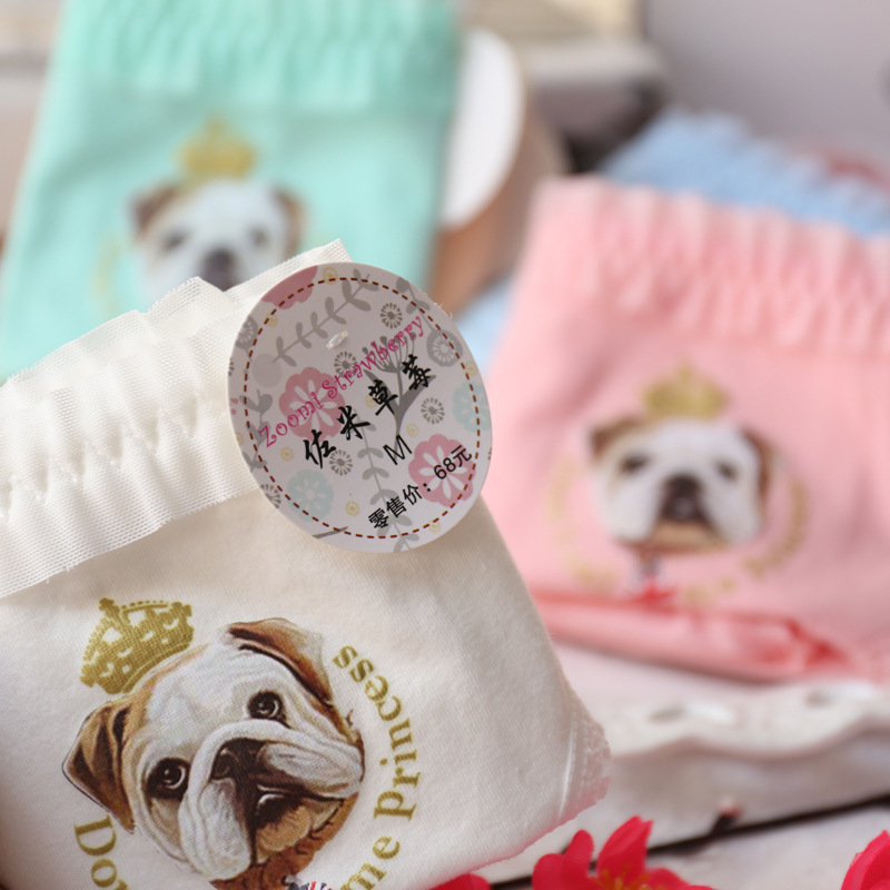 Slip jeune A035 en coton - Ref 647956 Image 30